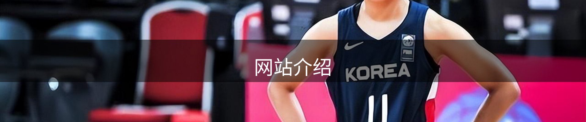 网站介绍